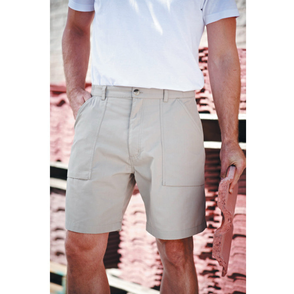 Lichen - Back - Regatta Mens New Action Shorts