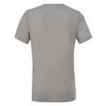 Athletic Grey Triblend - Back - Canvas Mens Triblend Crew Neck Plain Short Sleeve T-Shirt