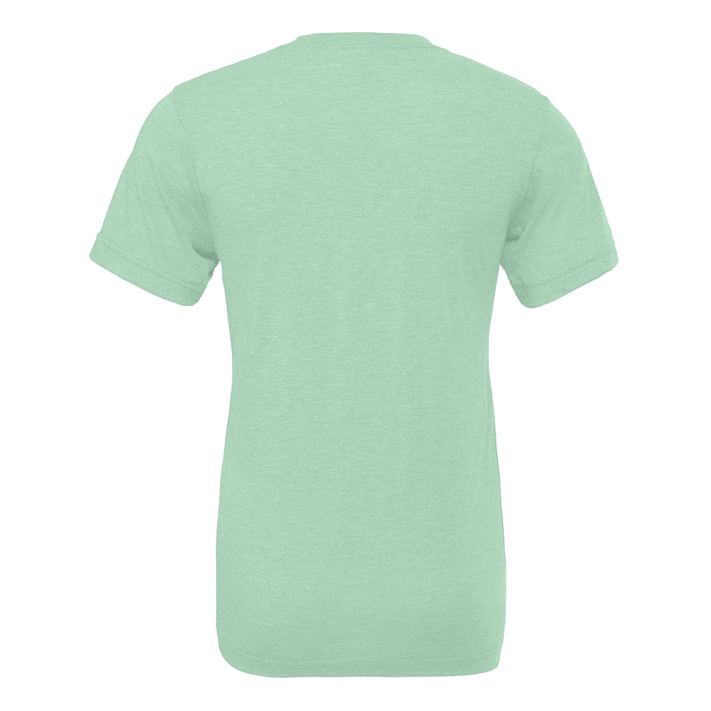 Mint Triblend - Back - Canvas Mens Triblend Crew Neck Plain Short Sleeve T-Shirt