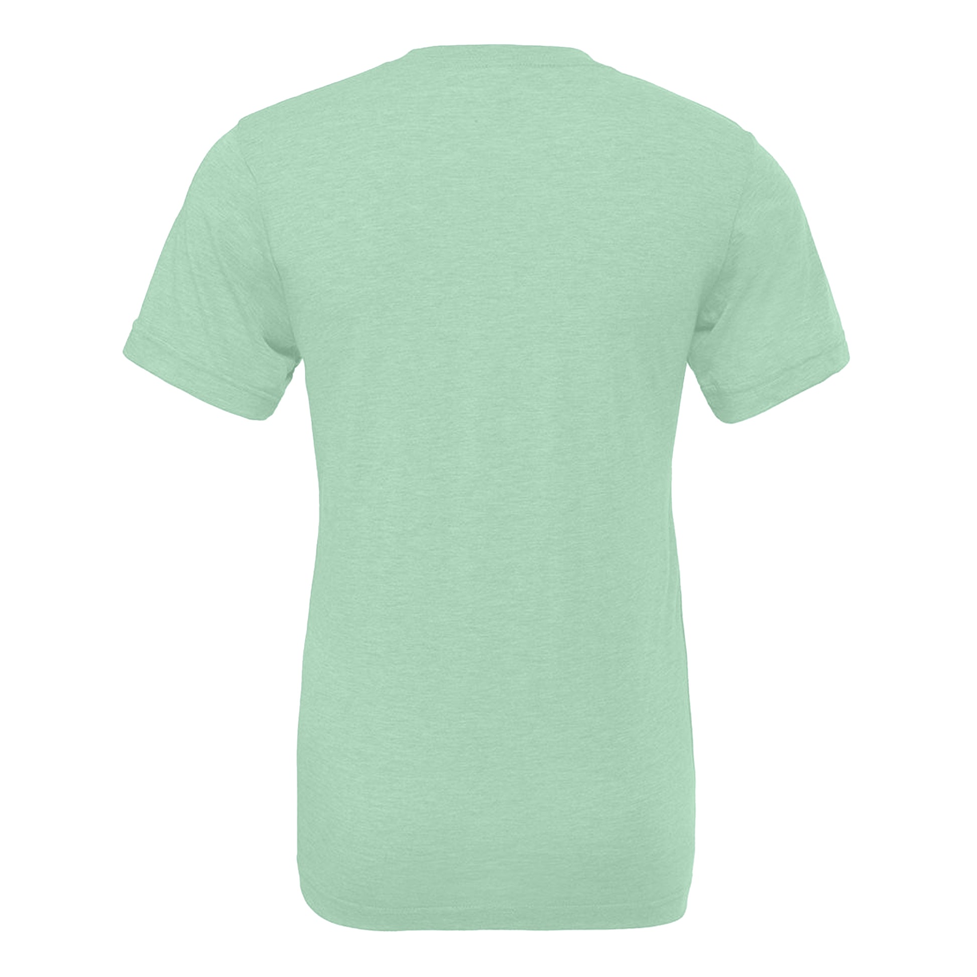 Mint Triblend - Back - Canvas Mens Triblend Crew Neck Plain Short Sleeve T-Shirt