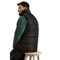 Black - Back - Regatta Mens Standout Altoona Insulated Bodywarmer Jacket