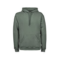 Leaf Green - Front - Tee Jays Mens Hooded Cotton Blend Sweatshirt