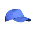 Royal - Front - Result Unisex Plain Baseball Cap (Pack of 2)