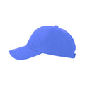 Royal - Back - Result Unisex Plain Baseball Cap (Pack of 2)