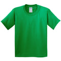 Irish Green - Front - Gildan Childrens Unisex Soft Style T-Shirt (Pack Of 2)