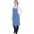 Mid Blue - Back - Dennys Multicoloured Bib Apron 28x36ins (Pack of 2)