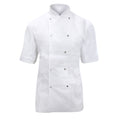 White - Back - Dennys Ladies-Womens Short Sleeve Chefs Jacket - Chefswear (Pack of 2)