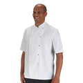 White - Back - Dennys AFD Mens Chefs Jacket - Chefswear (Pack of 2)