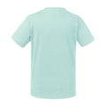 Aqua Blue - Back - Russell Childrens-Kids Organic Short-Sleeved T-Shirt