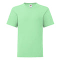 Mint Green - Front - Fruit of the Loom Childrens-Kids Iconic 150 T-Shirt