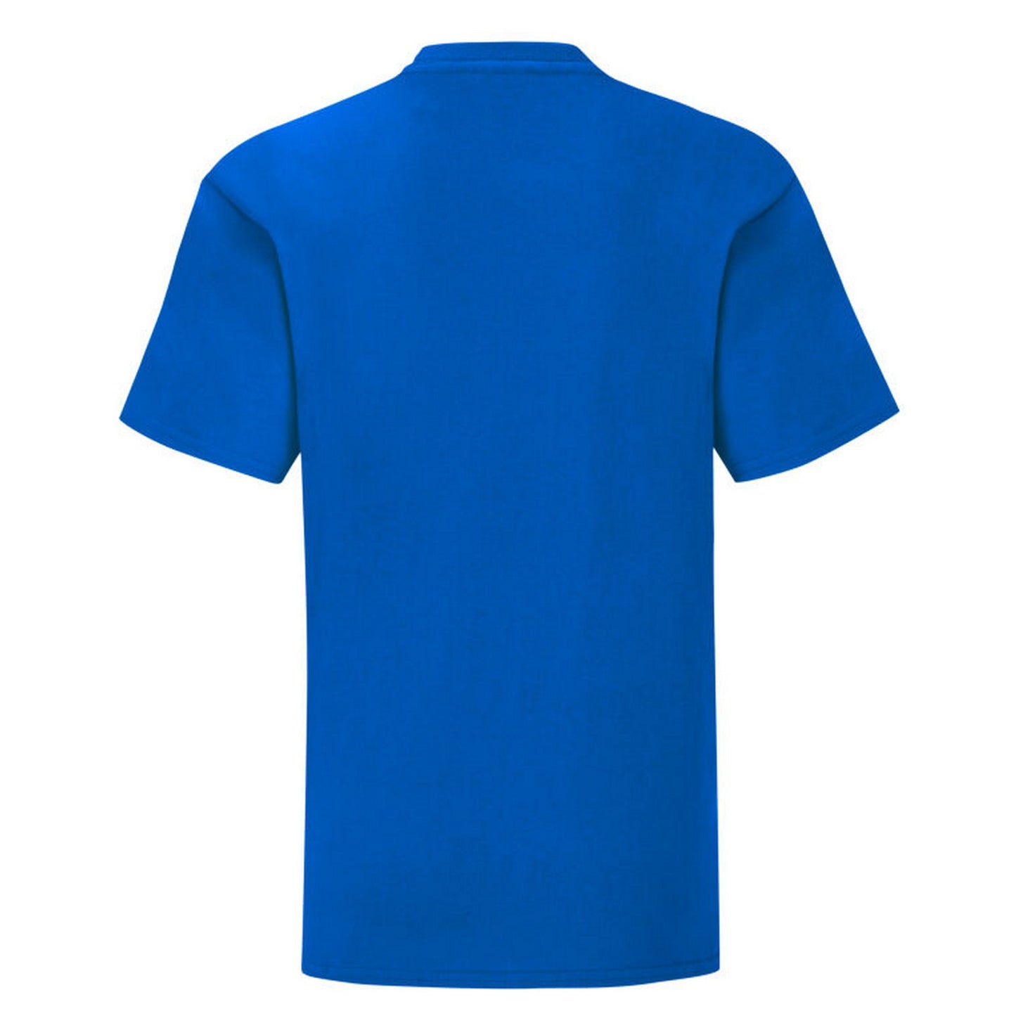 Royal Blue - Back - Fruit of the Loom Childrens-Kids Iconic 150 T-Shirt