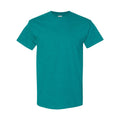 Antique Jade Dome - Front - Gildan Mens Heavy Cotton Short Sleeve T-Shirt (Pack Of 5)