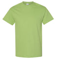 Kiwi - Front - Gildan Mens Heavy Cotton Short Sleeve T-Shirt