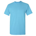 Sky - Back - Gildan Mens Heavy Cotton Short Sleeve T-Shirt