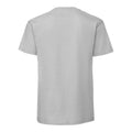 Zinc - Back - Fruit of the Loom Mens Iconic Premium Ringspun Cotton T-Shirt