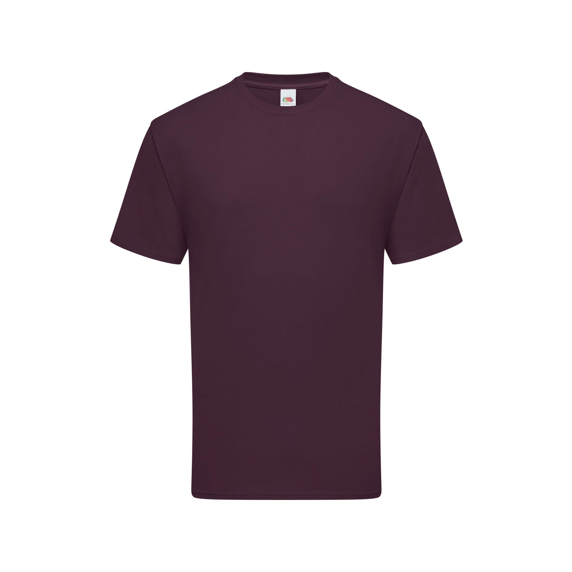 Ocean Teal - Side - Fruit Of The Loom Mens Iconic Premium Ringspun Cotton T-Shirt