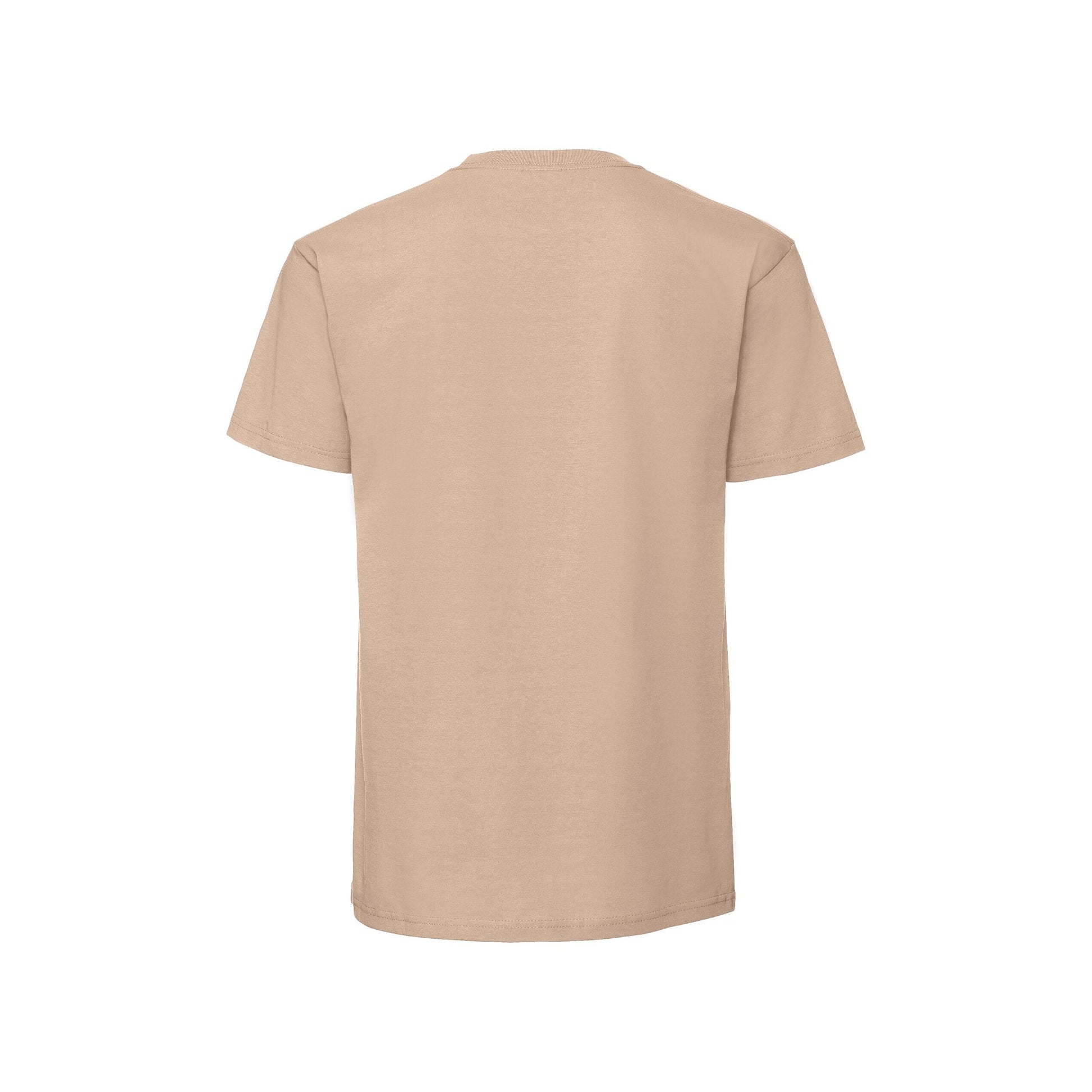 Desert Sand - Back - Fruit Of The Loom Mens Iconic Premium Ringspun Cotton T-Shirt