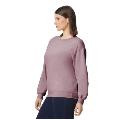 Paragon - Side - Gildan Unisex Adult Softstyle Fleece Midweight Pullover