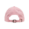 Pink - Back - Flexfit Unisex Adult Cotton Twill Low Profile Cap