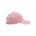Pink - Lifestyle - Flexfit Unisex Adult Cotton Twill Low Profile Cap