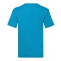 Azure Blue - Back - Fruit of the Loom Mens Original Plain V Neck T-Shirt
