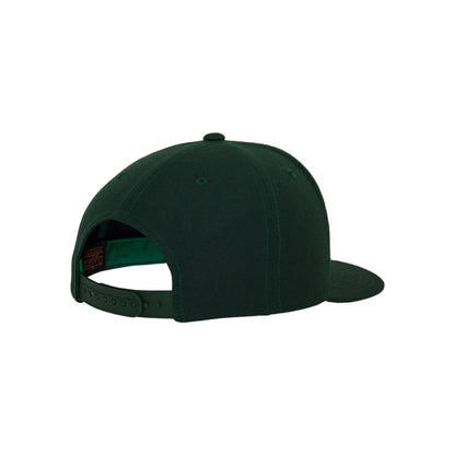 Spruce - Close up - Flexfit Unisex Adult Classic Snapback Cap