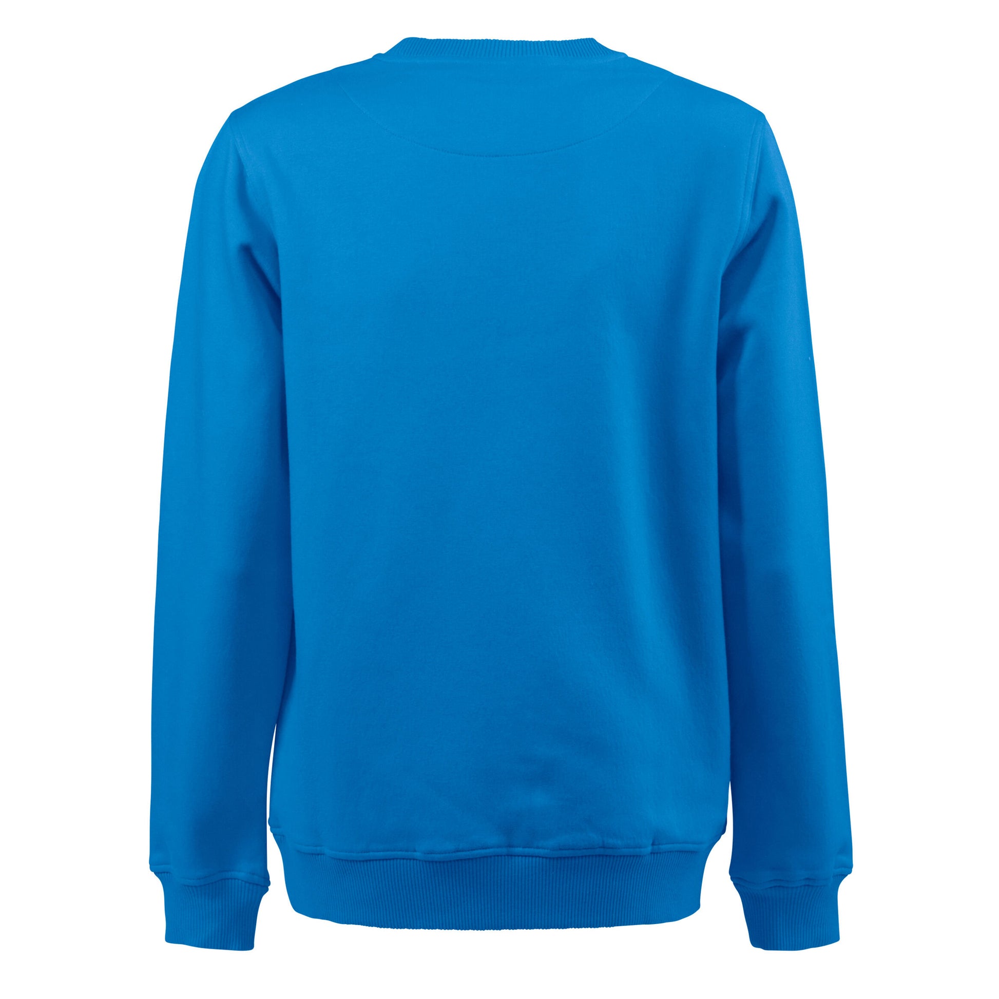Ocean Blue - Back - Printer Unisex Adult Softball RSX Melange Sweatshirt