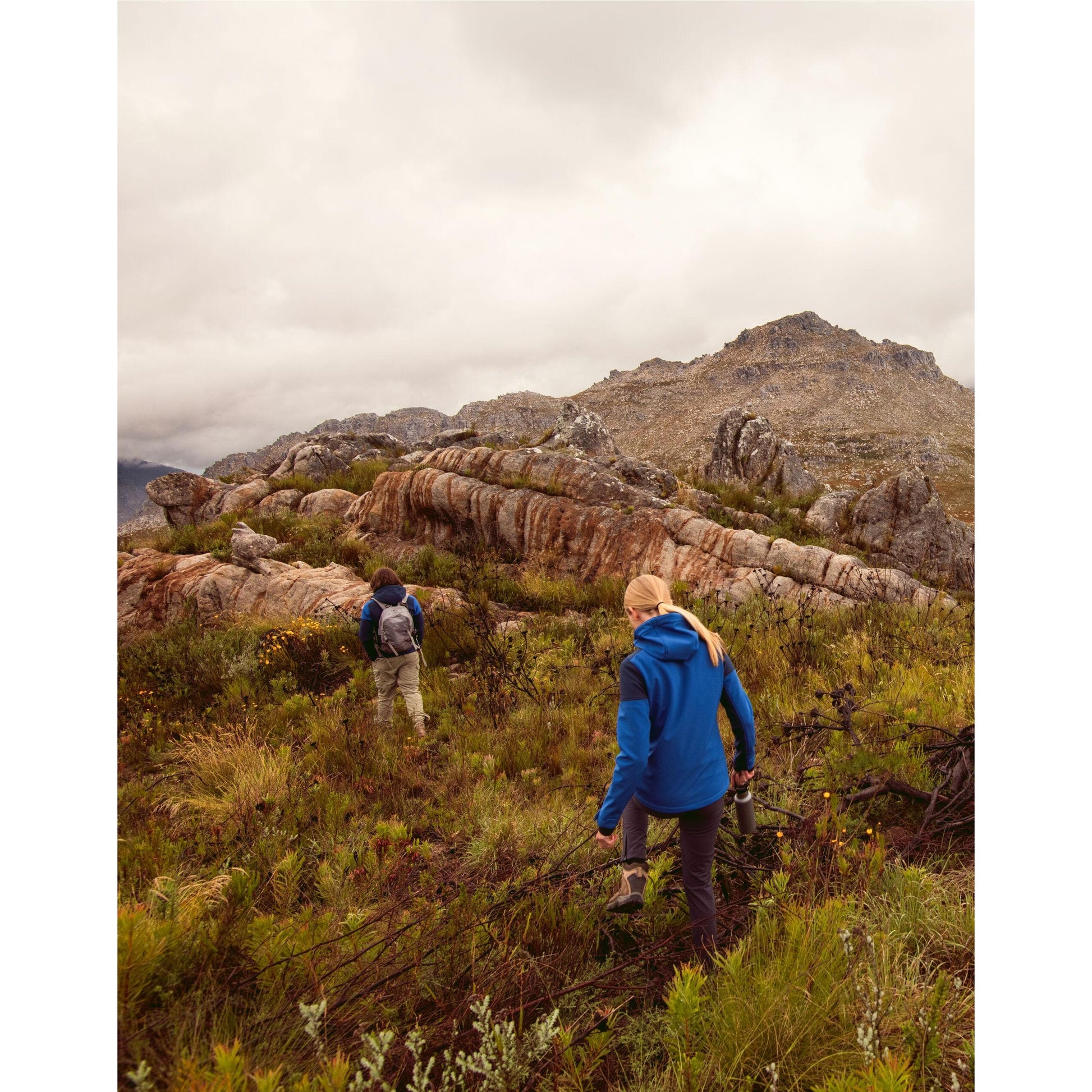 Cobalt-Navy - Pack Shot - Printer Womens-Ladies Prime Soft Shell Jacket