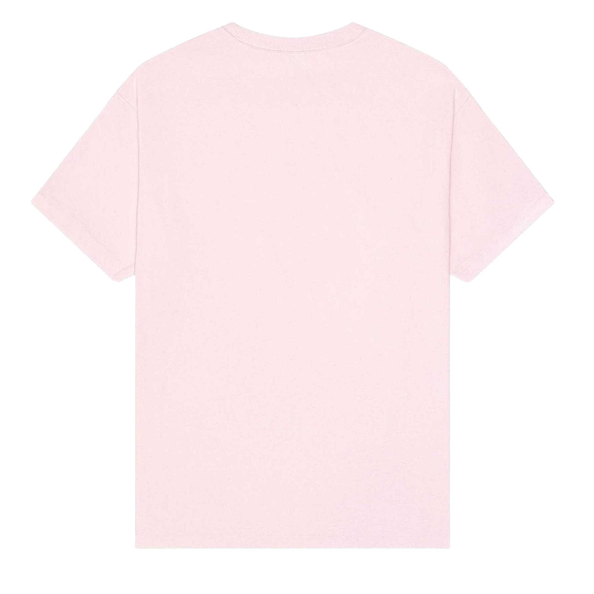 Soft Pink - Back - Bella + Canvas Unisex Adult Heavyweight Boxy T-Shirt