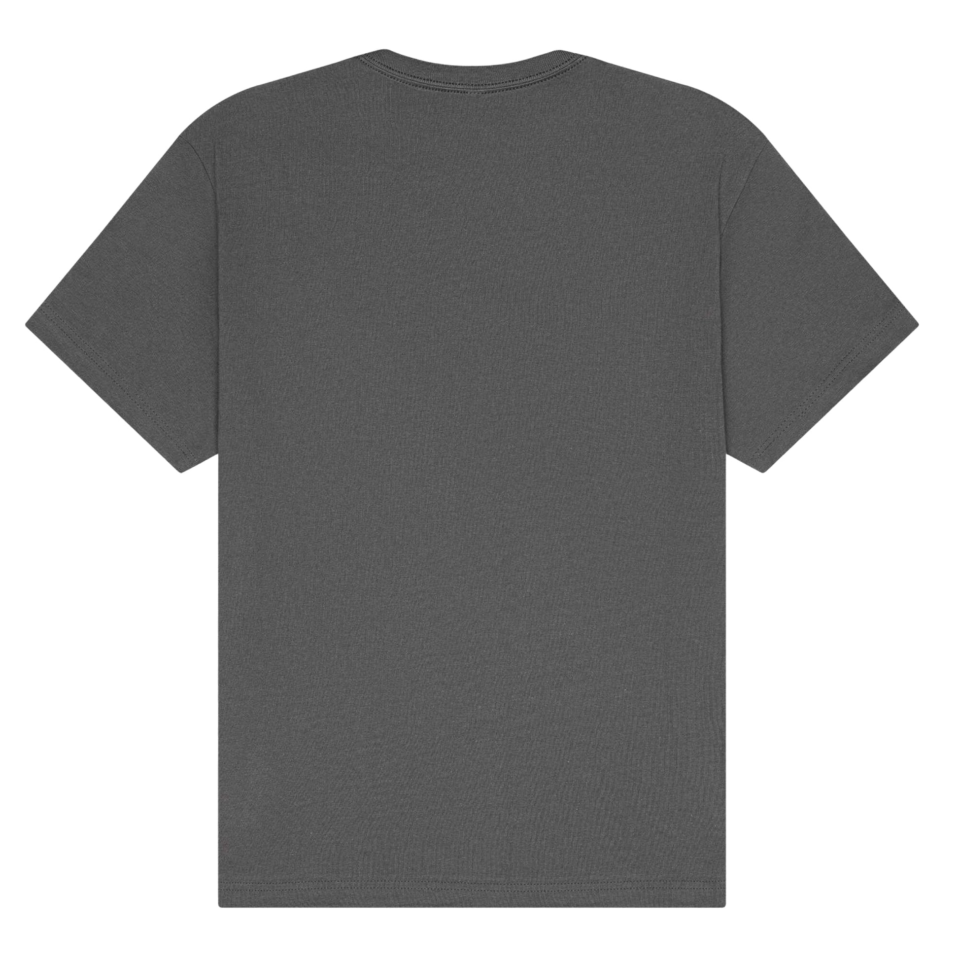 Asphalt - Back - Bella + Canvas Unisex Adult Heavy Short-Sleeved T-Shirt