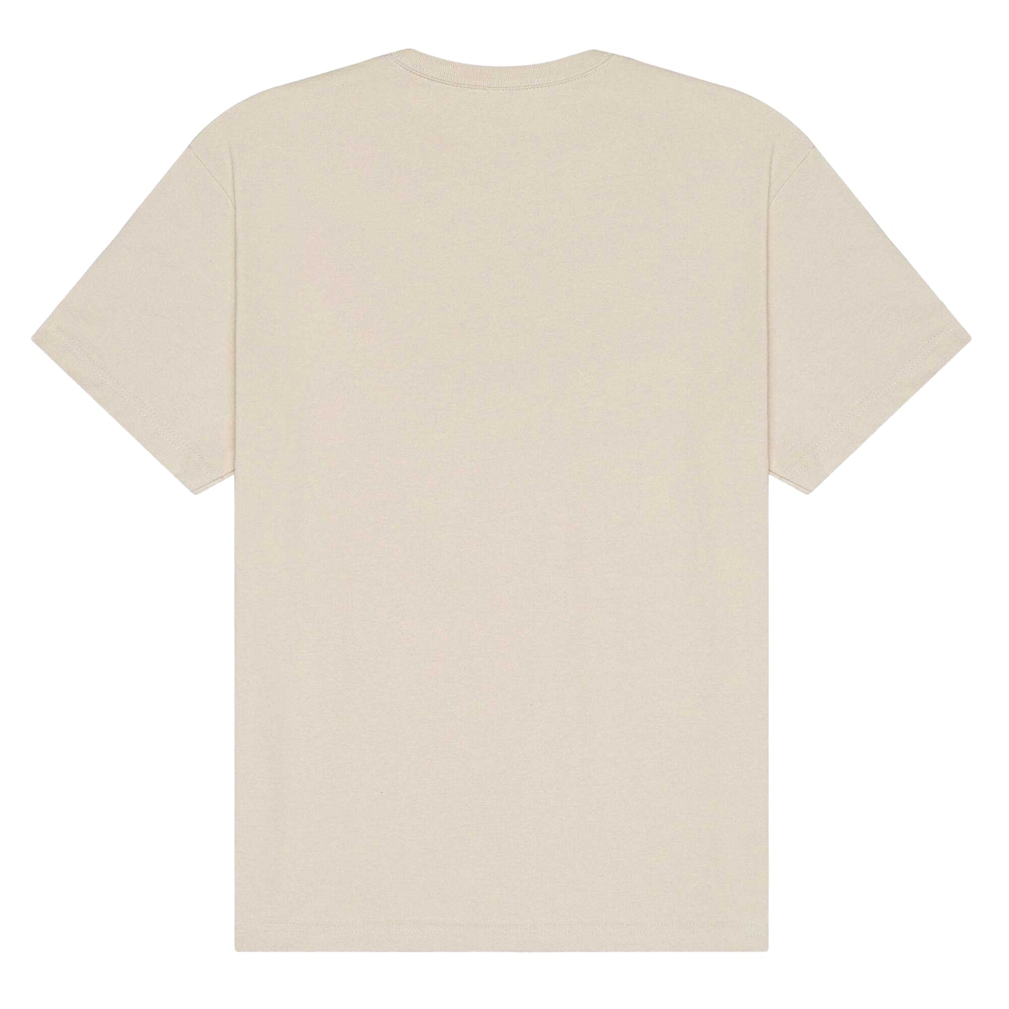 Dust - Back - Bella + Canvas Unisex Adult Heavy Short-Sleeved T-Shirt