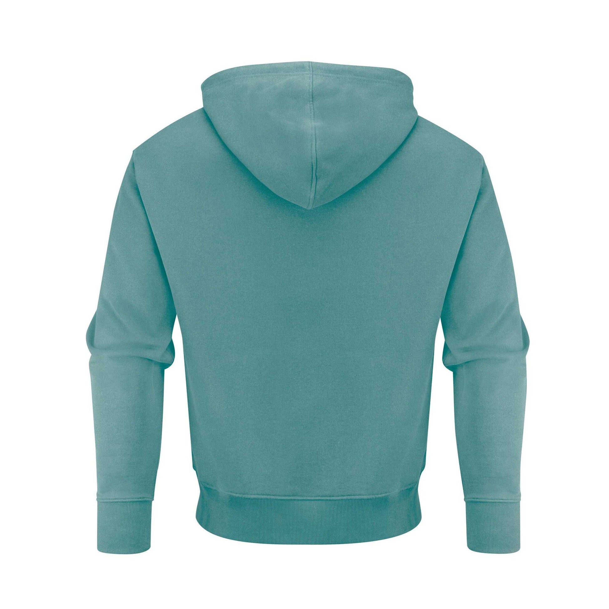 Aloe Green - Back - James Harvest Unisex Adult Hopedale Hoodie