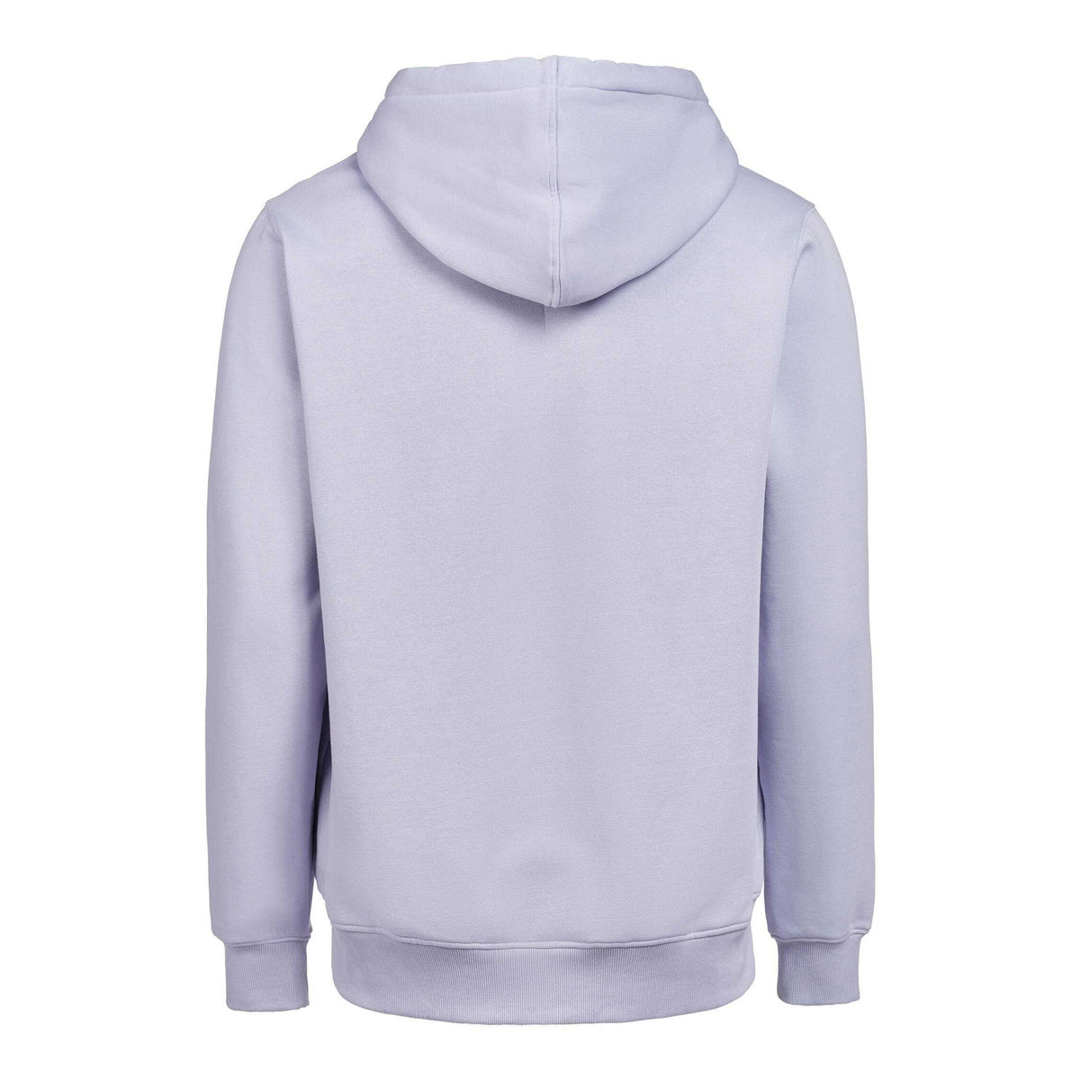 Blue Aster - Back - Untagged Movement Unisex Adult Regular Hoodie