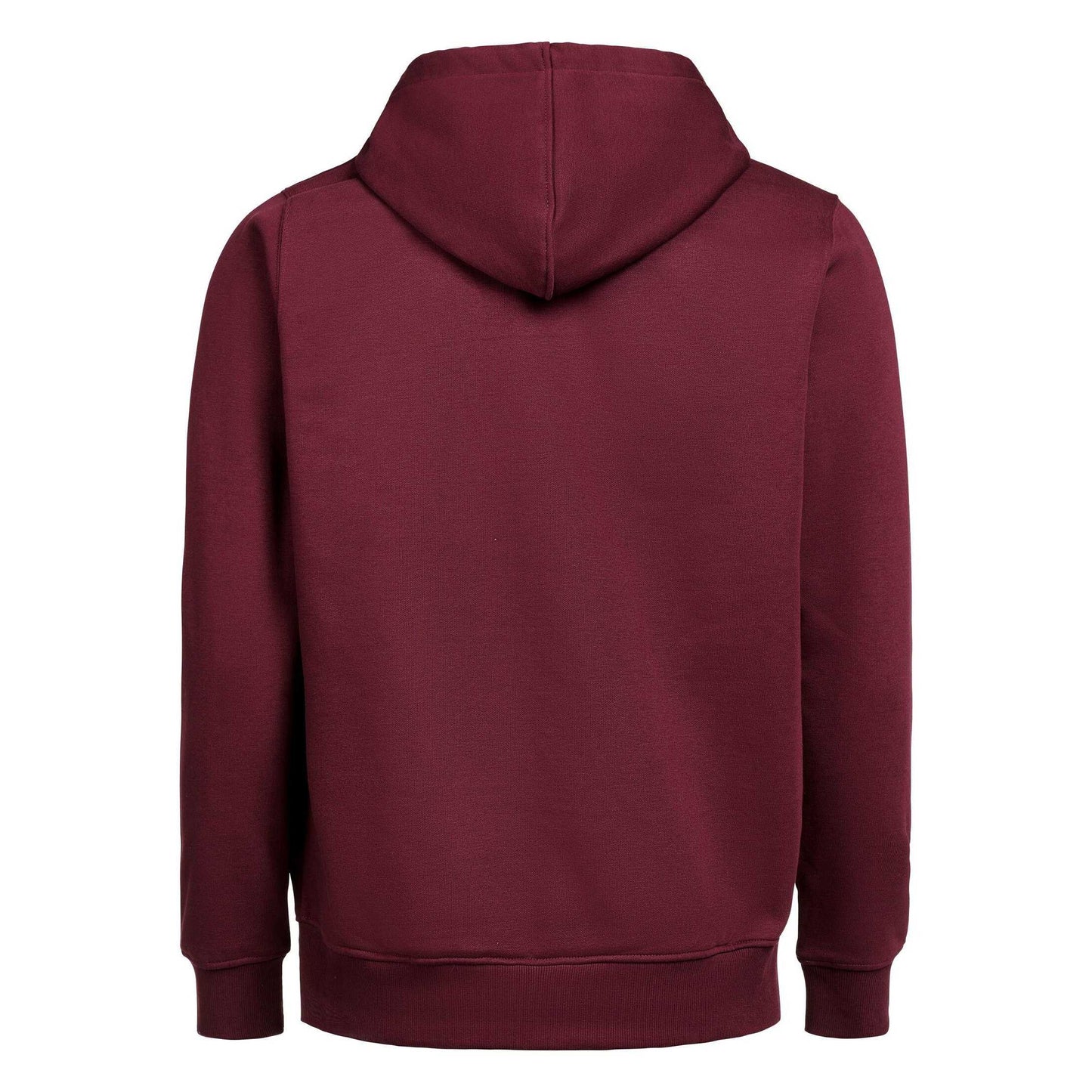 Prune - Back - Untagged Movement Unisex Adult Regular Full Zip Hoodie