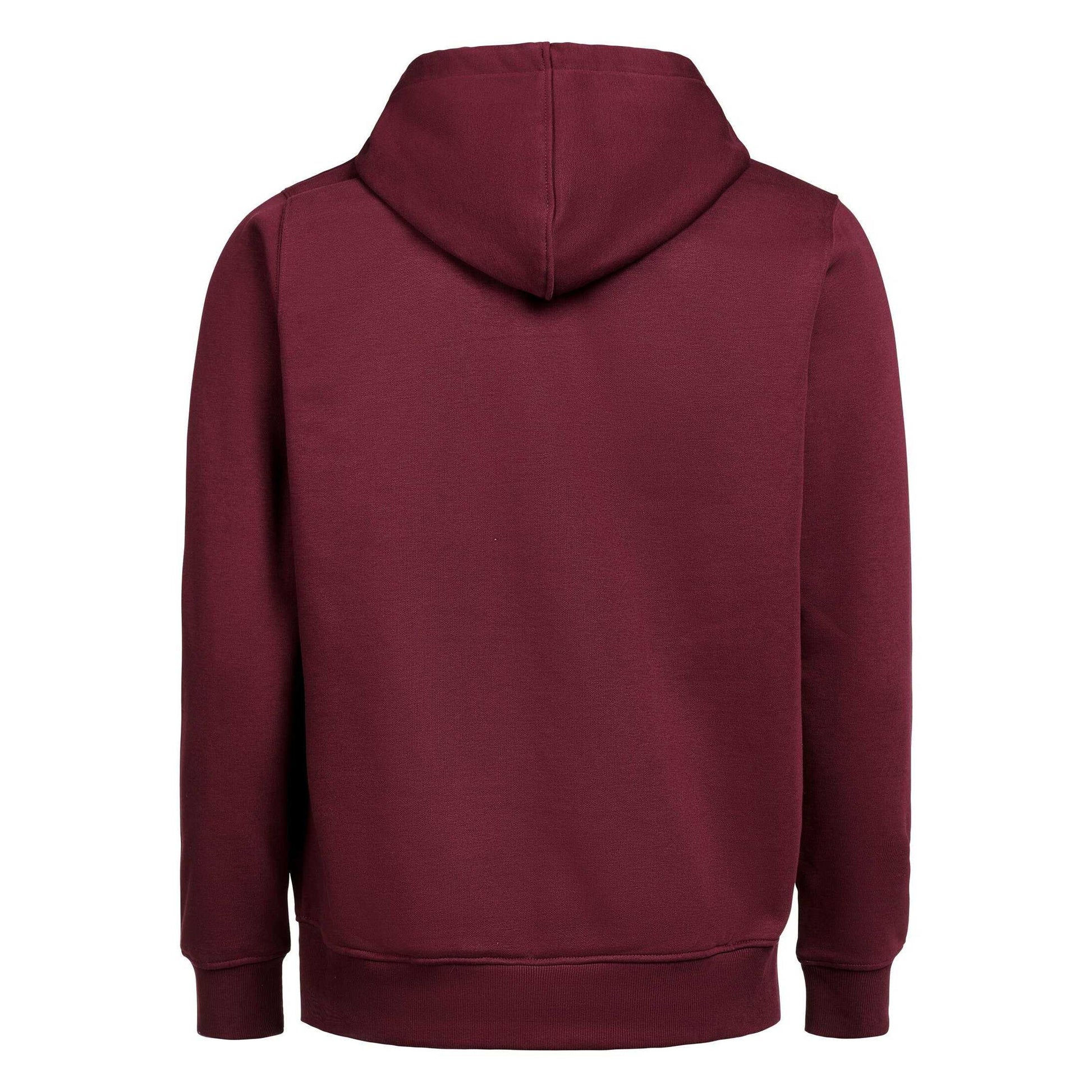 Prune - Back - Untagged Movement Unisex Adult Regular Full Zip Hoodie