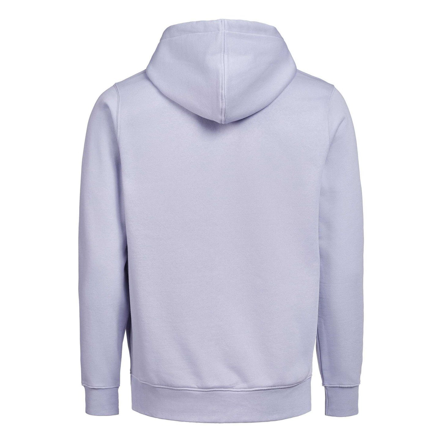 Blue Aster - Back - Untagged Movement Unisex Adult Regular Full Zip Hoodie