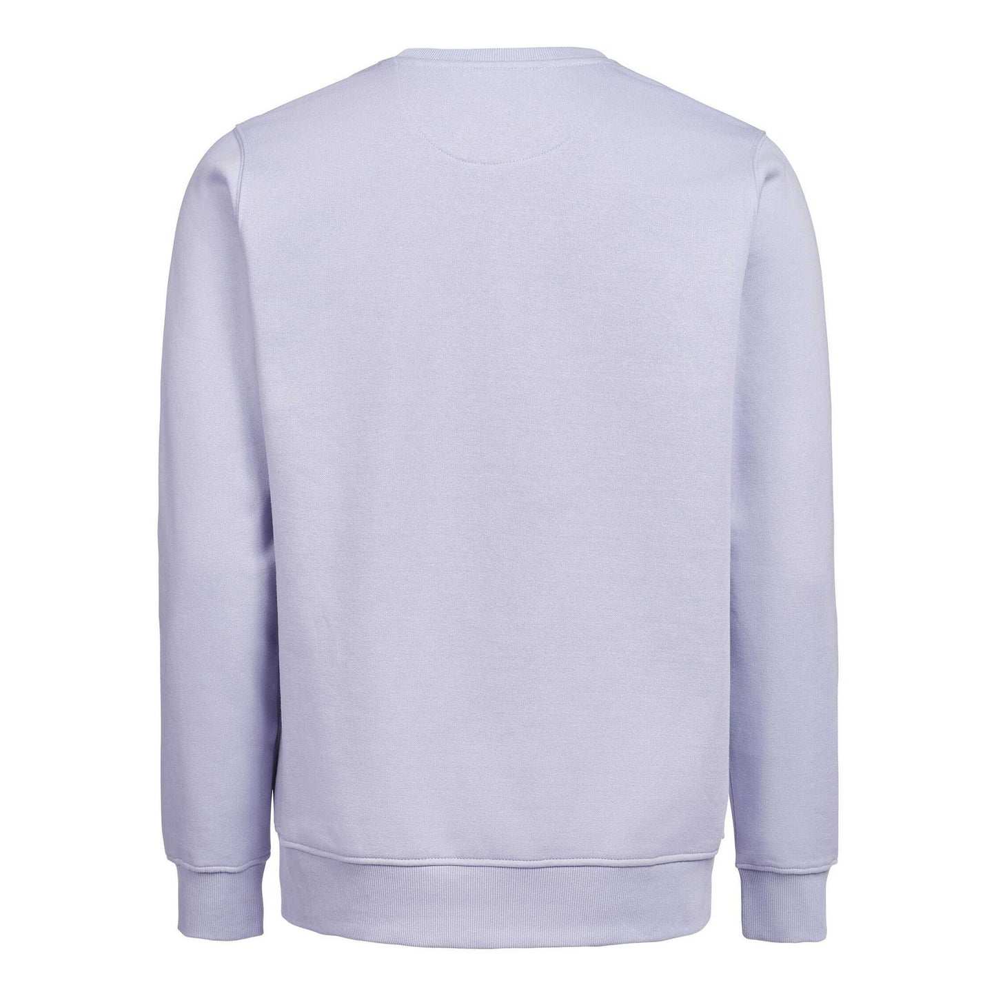 Birch - Front - Untagged Movement Mens Crew Neck Regular Sweatshirt