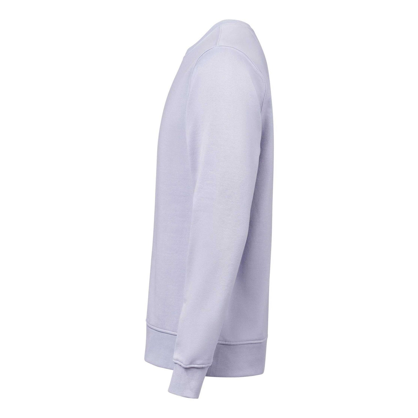 Aster - Back - Untagged Movement Mens Crew Neck Regular Sweatshirt