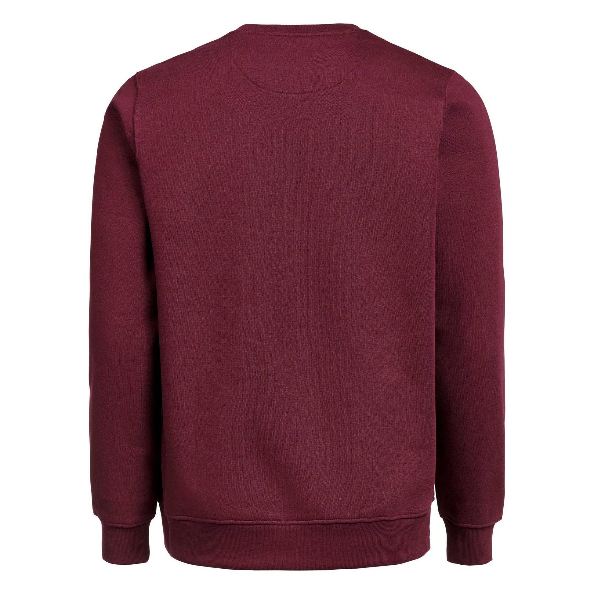 Prune - Back - Untagged Movement Mens Crew Neck Regular Sweatshirt