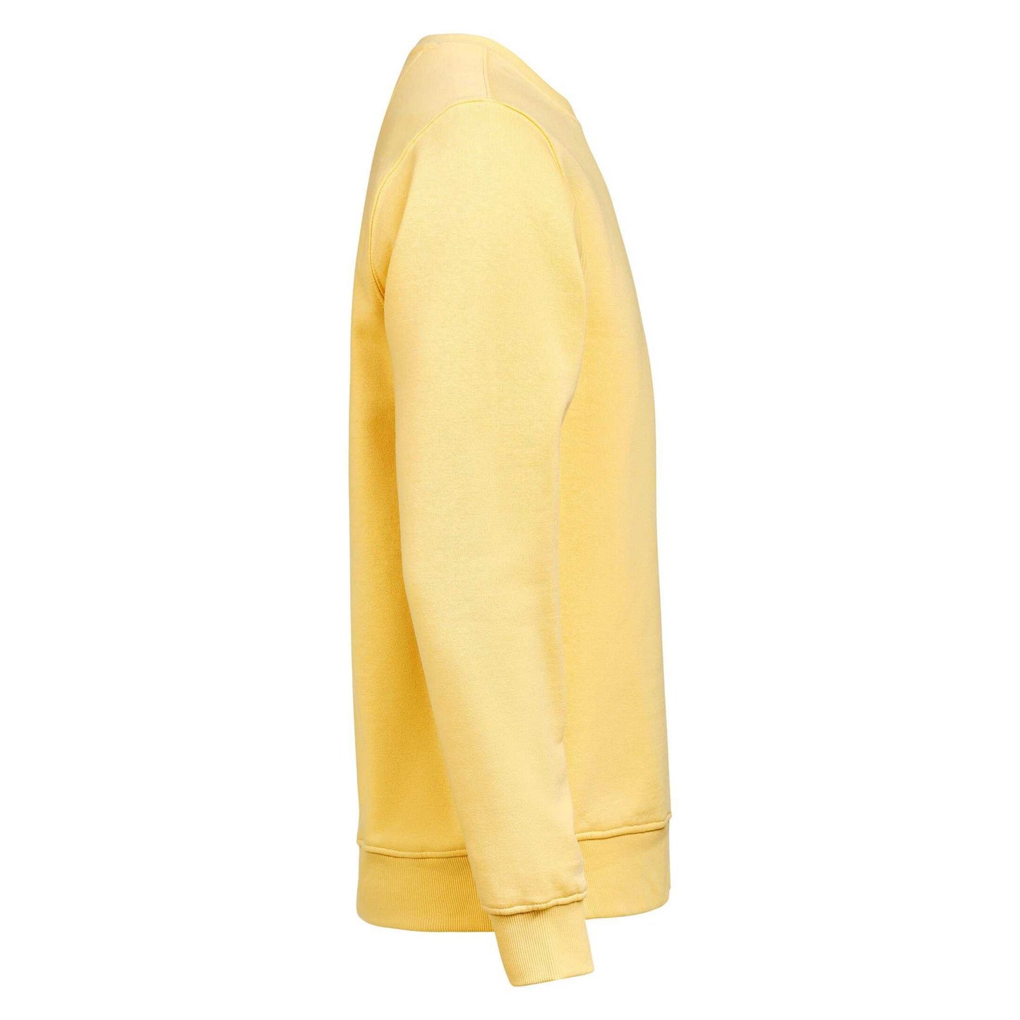 Ray - Lifestyle - Untagged Movement Mens Crew Neck Regular Sweatshirt