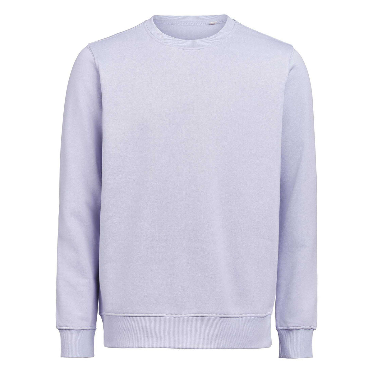 Aster - Front - Untagged Movement Mens Crew Neck Regular Sweatshirt