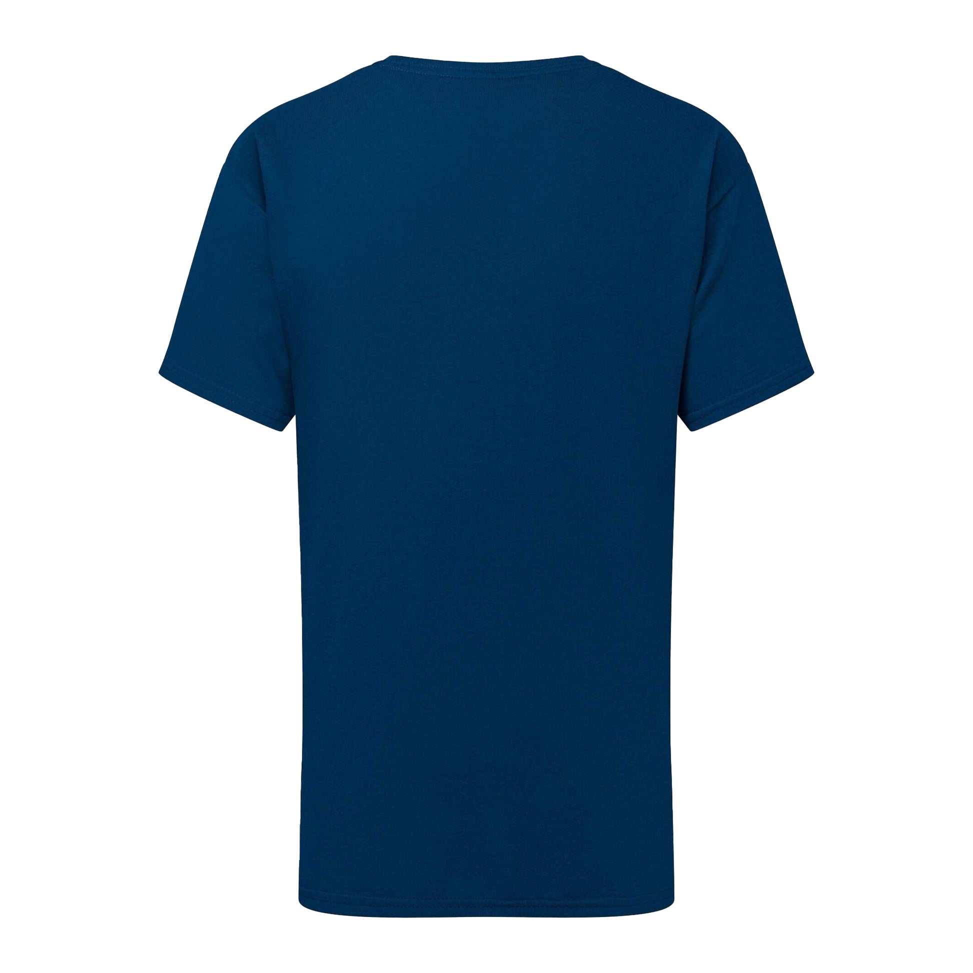 Mountain Blue - Back - Fruit of the Loom Childrens-Kids Iconic 195 T-Shirt