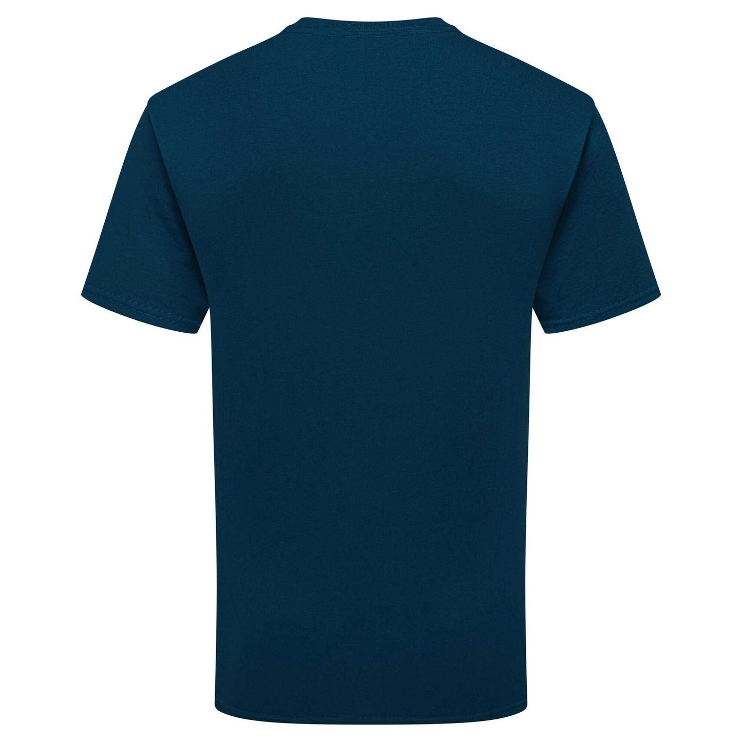 Mountain Blue - Back - Fruit of the Loom Unisex Adult Pure Cotton T-Shirt
