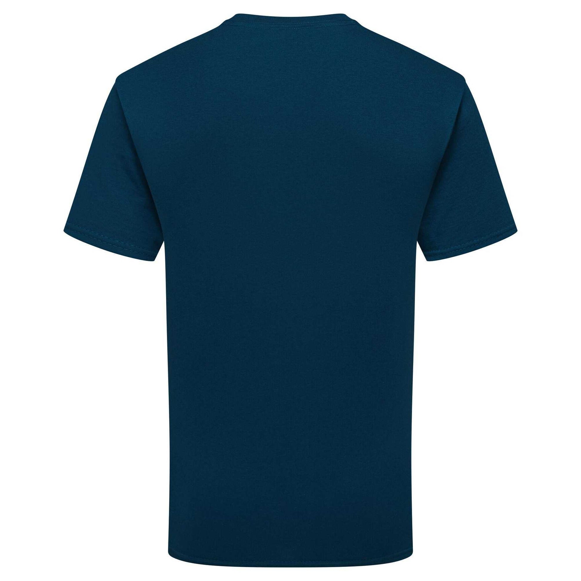 Mountain Blue - Back - Fruit of the Loom Unisex Adult Pure Cotton T-Shirt