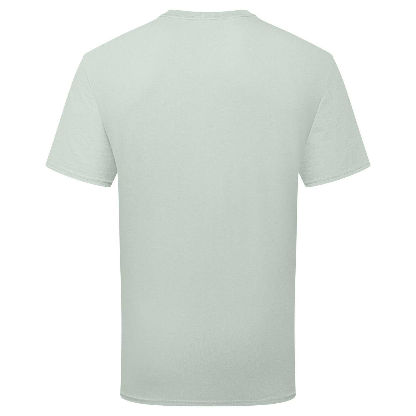 Sage - Back - Fruit of the Loom Unisex Adult Pure Cotton T-Shirt