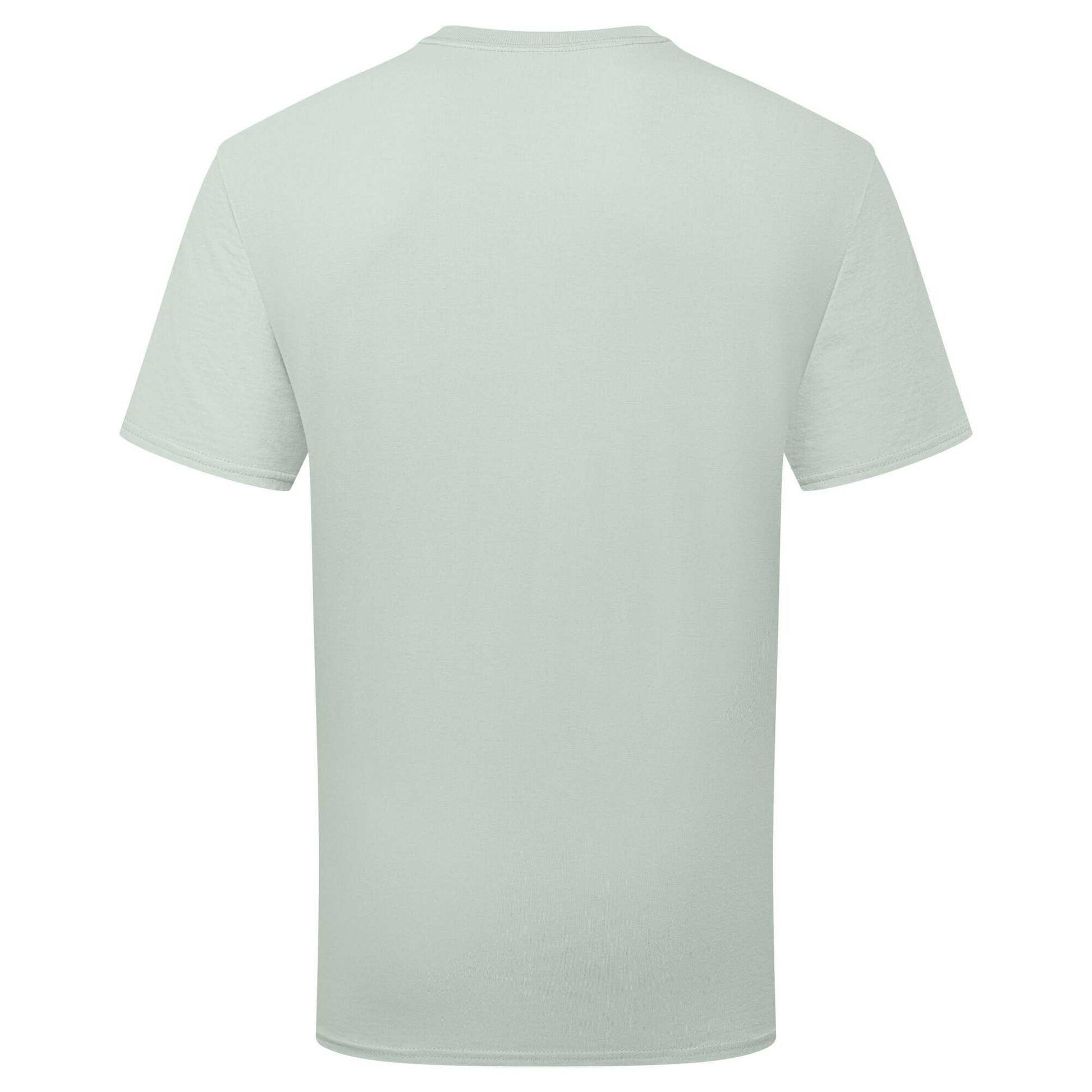 Sage - Back - Fruit of the Loom Unisex Adult Pure Cotton T-Shirt