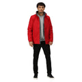 Classic Red - Pack Shot - Regatta Mens Beauford Waterproof Windproof Jacket (Thermoguard Insulation)