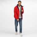 Classic Red-Navy - Lifestyle - Regatta Dover Waterproof Windproof Jacket (Thermo-Guard Insulation)