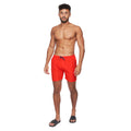 Red - Lifestyle - Crosshatch Mens Swimlar Swim Shorts