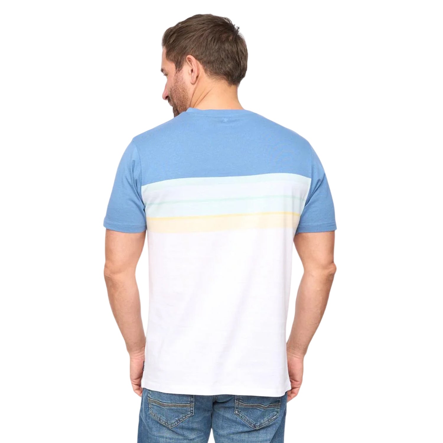 Blue Stripe - Back - Bewley & Ritch Mens Fenshaw T-Shirt